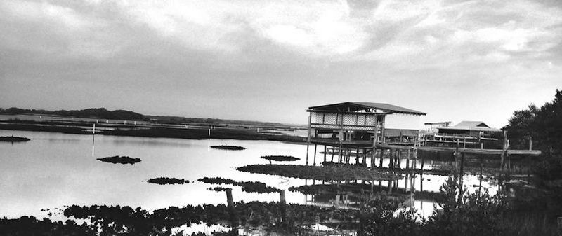 Covered Docks located in Cedar Key Florida