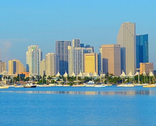 Downtown Miami Cityscape